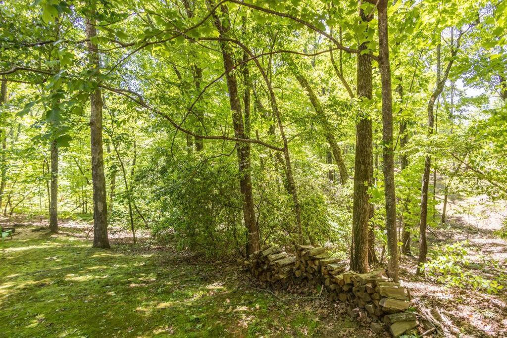 Pet Friendly Luxury Cabin Near Helen With Fire Pit Cleveland Exteriör bild